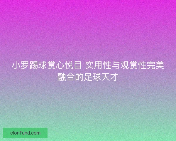 小罗踢球赏心悦目 实用性与观赏性完美融合的足球天才