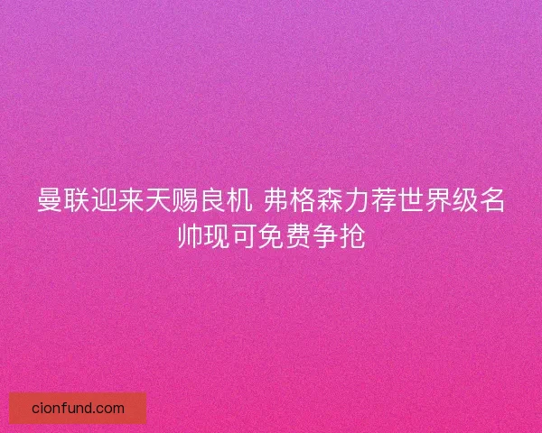 曼联迎来天赐良机 弗格森力荐世界级名帅现可免费争抢